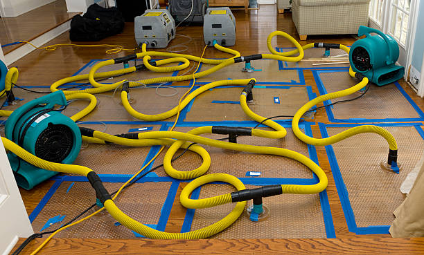 Professional Basement Flood Cleanup technician working in La Cañada Flintridge, CA